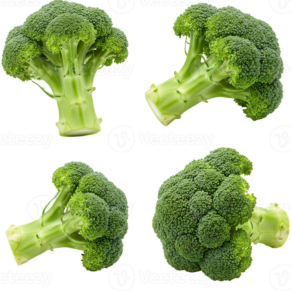 Four Green Broccoli Florets on Transparent Background png