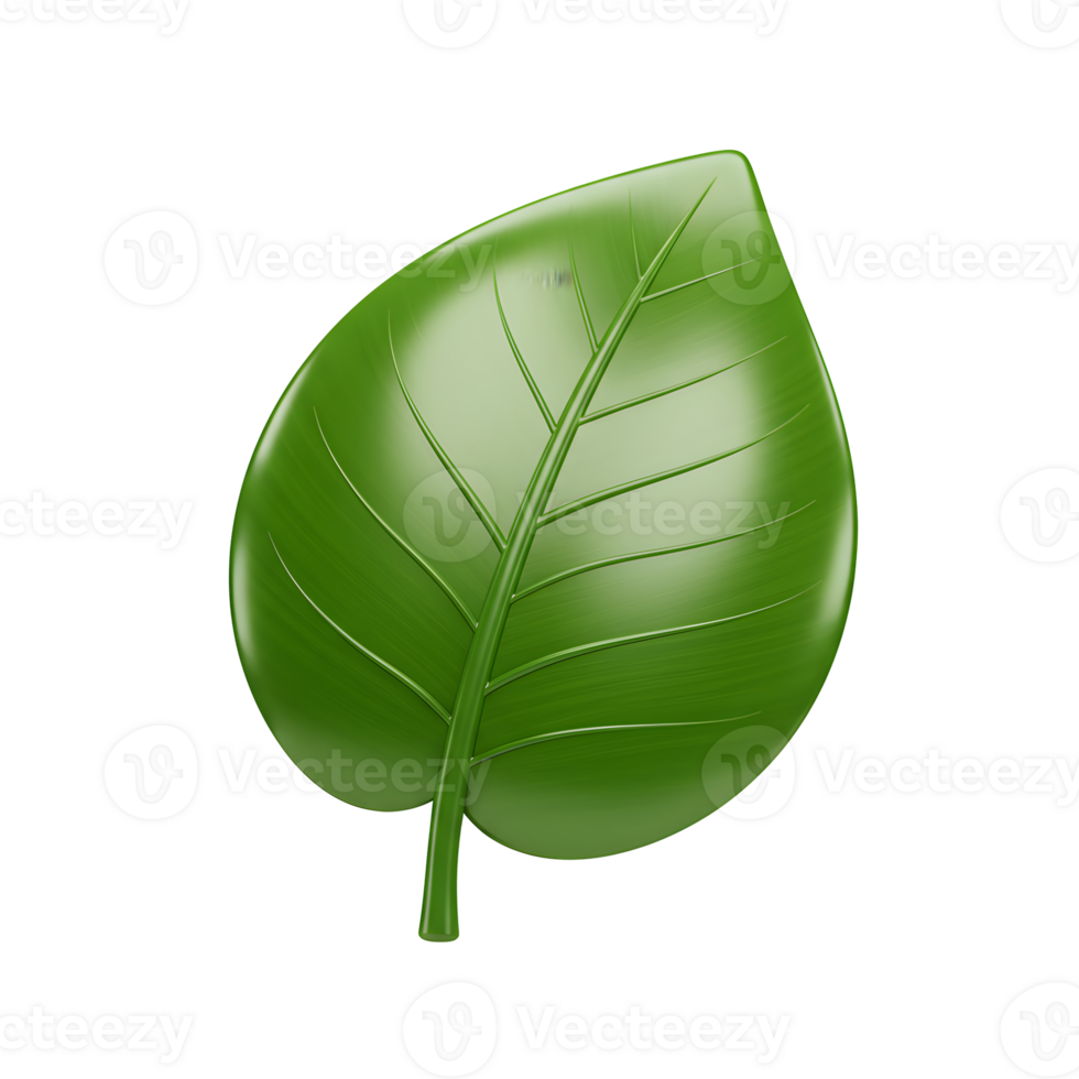 Single Green Leaf 3D Rendering on Transparent Background png
