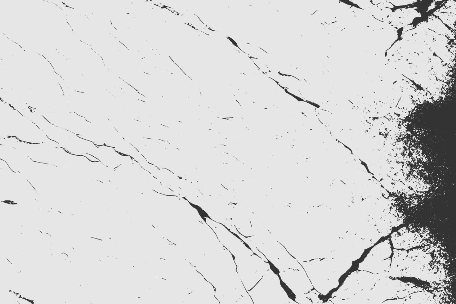 black and white. marble texture background vector