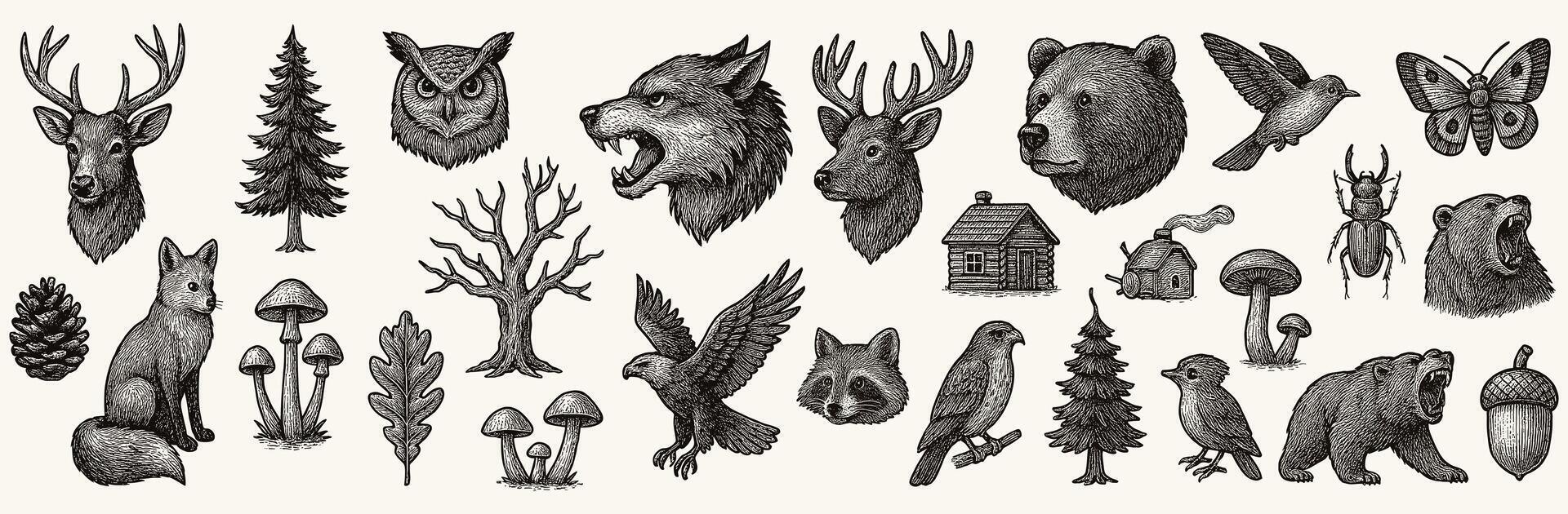 Detailed monochrome illustrations of forest animals and elements create a wild nature pattern vector