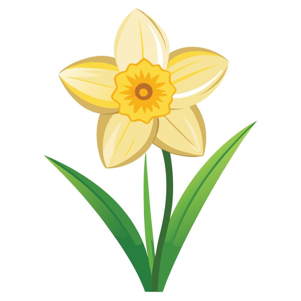 Fresh Daffodil Flower Design vector