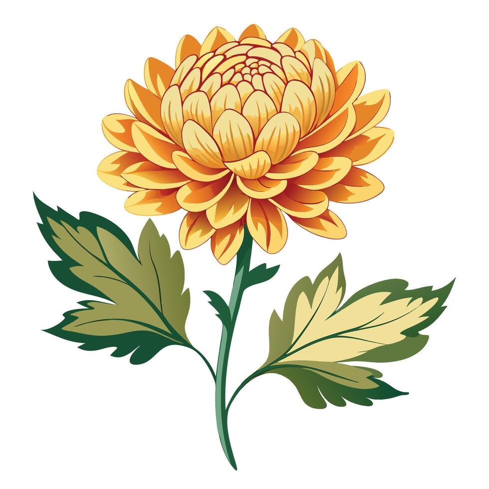 Bold Chrysanthemum Flower Art vector