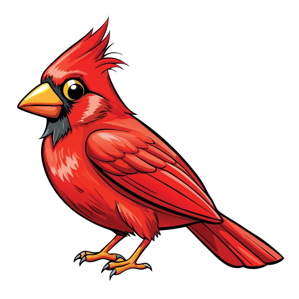 Realistic Cardinal Bird Design vector