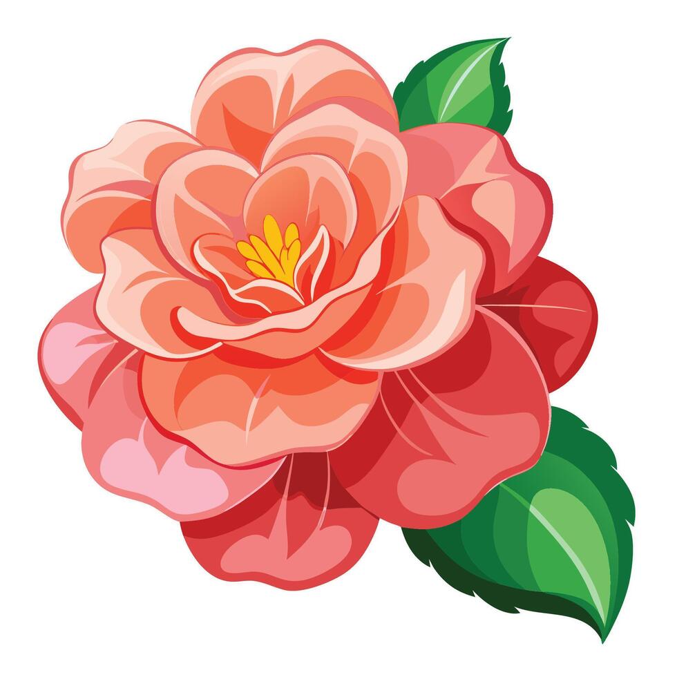 Natural Begonia Flower Drawing vector