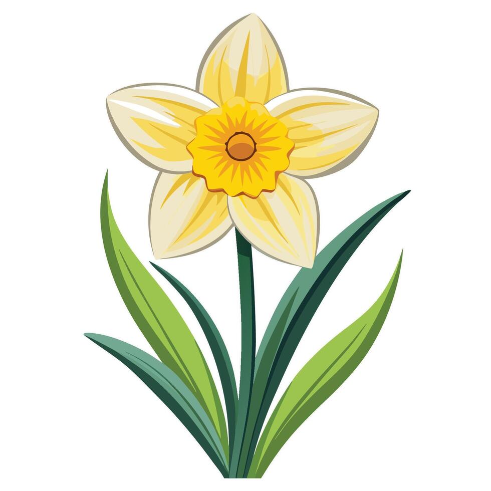 Classic Daffodil Flower Design vector