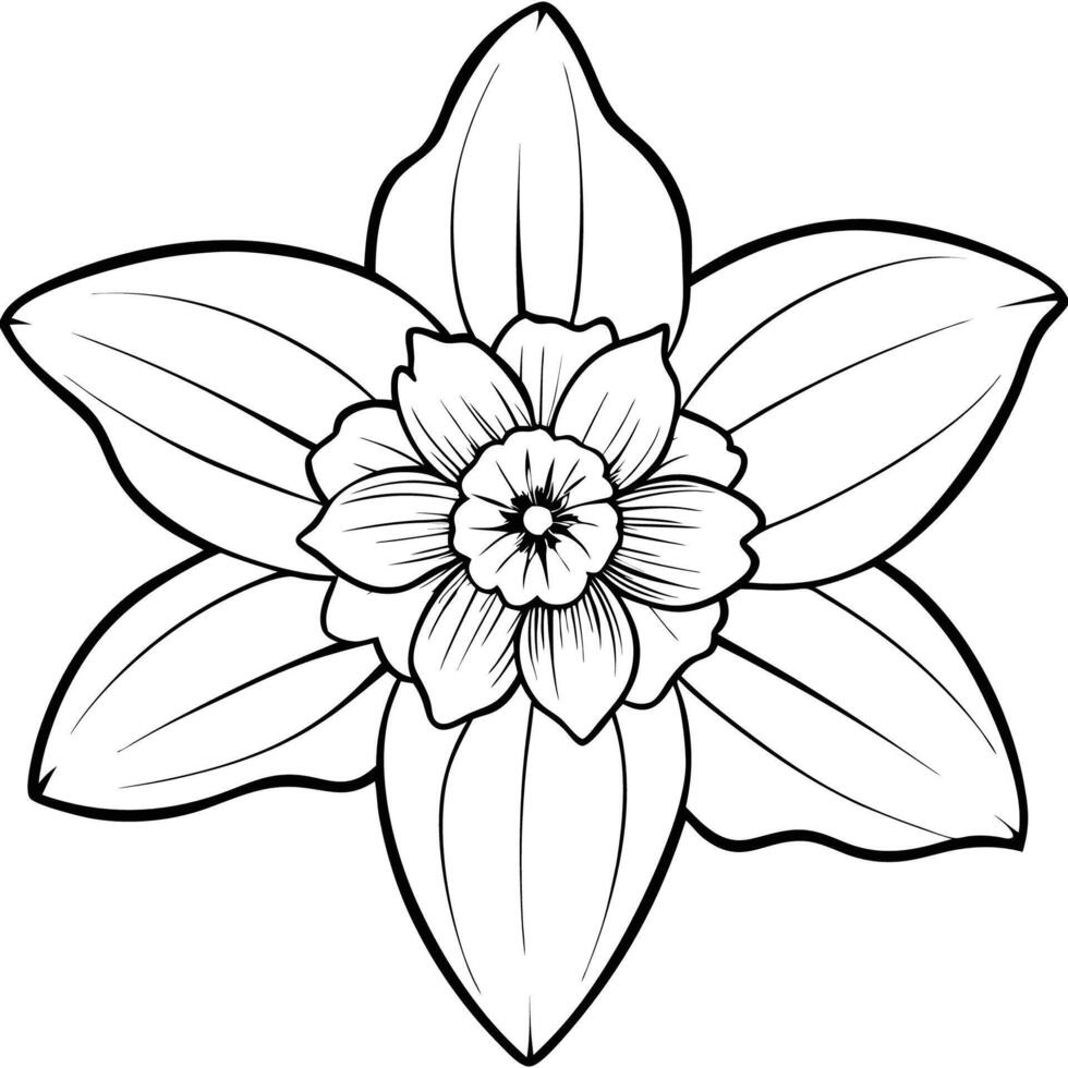 Cute Daffodil Flower Design vector