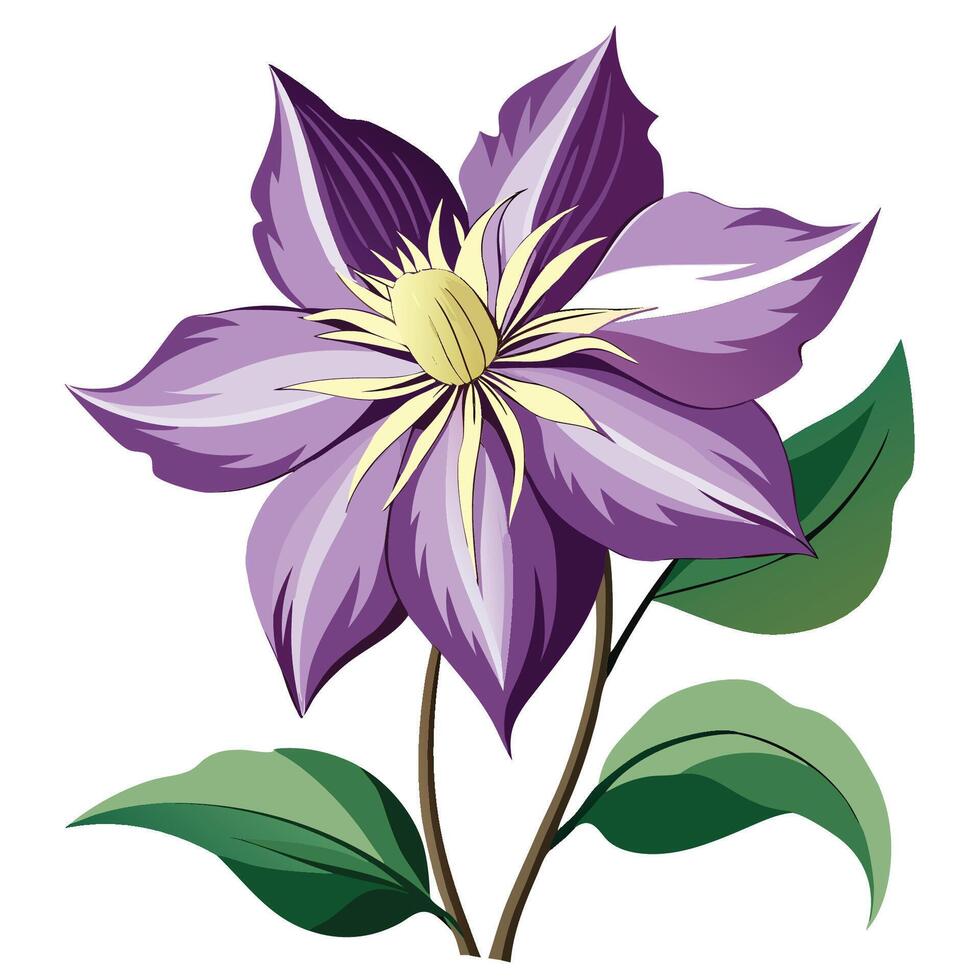 White Background Clematis Clipart vector