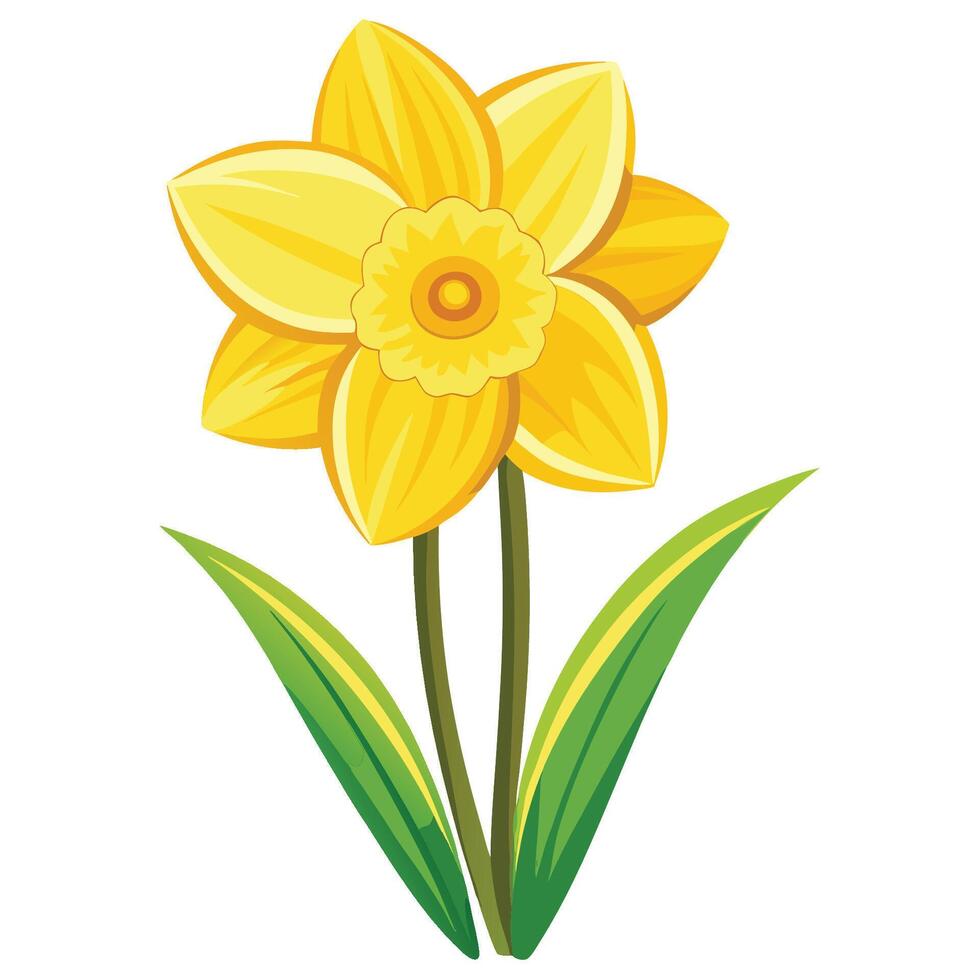 Realistic Daffodil Flower Design vector