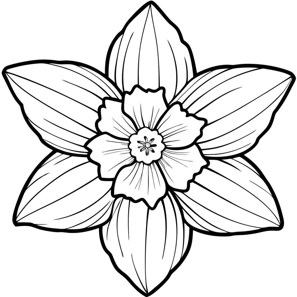 Daffodil Flower Art Design vector