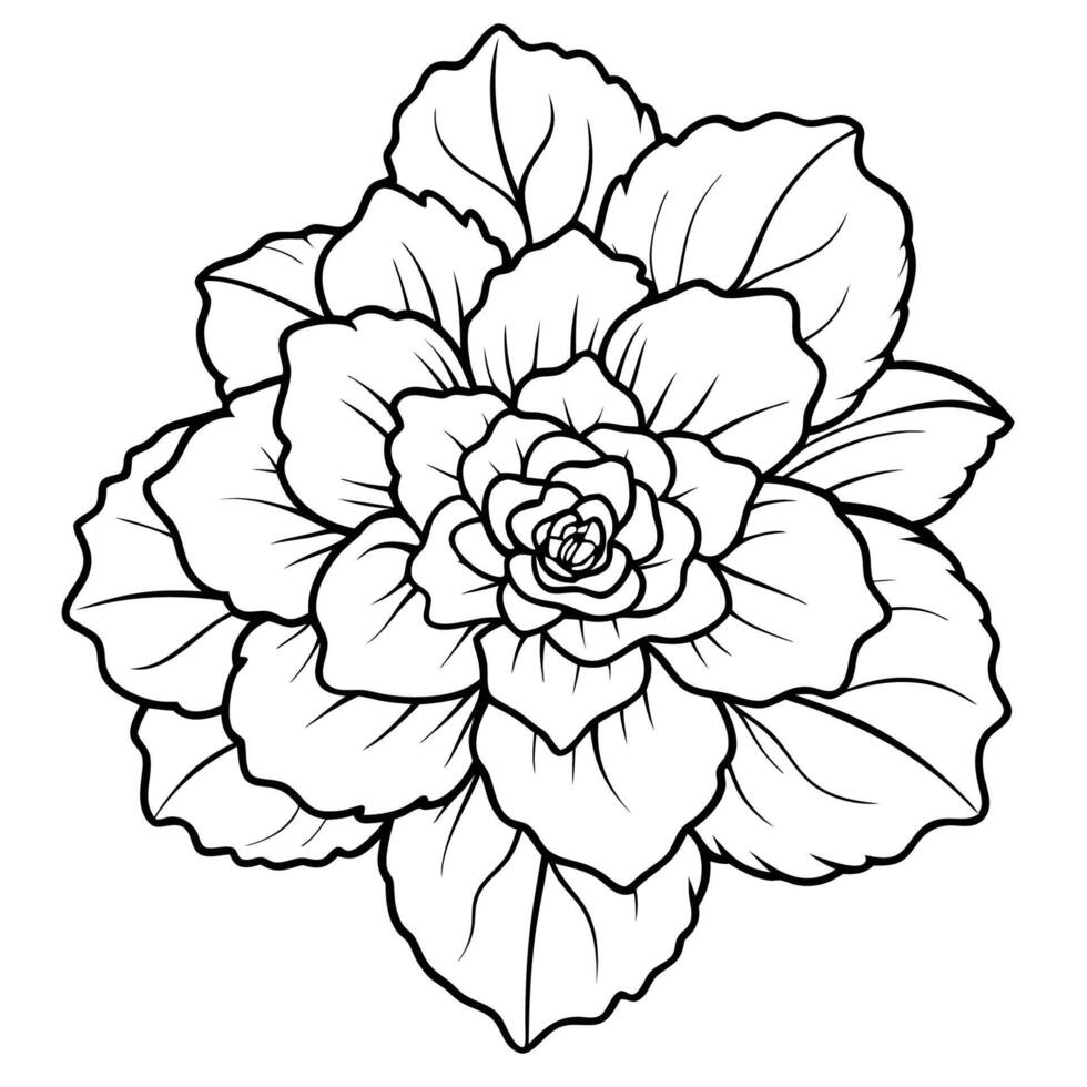 Delicate Begonia Flower Art vector