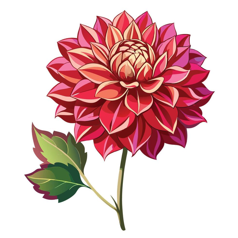 Unique Dahlia Flower Design Styles vector