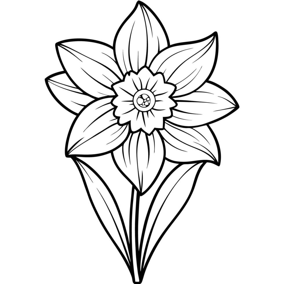 Hand Drawn Daffodil Flower Design vector