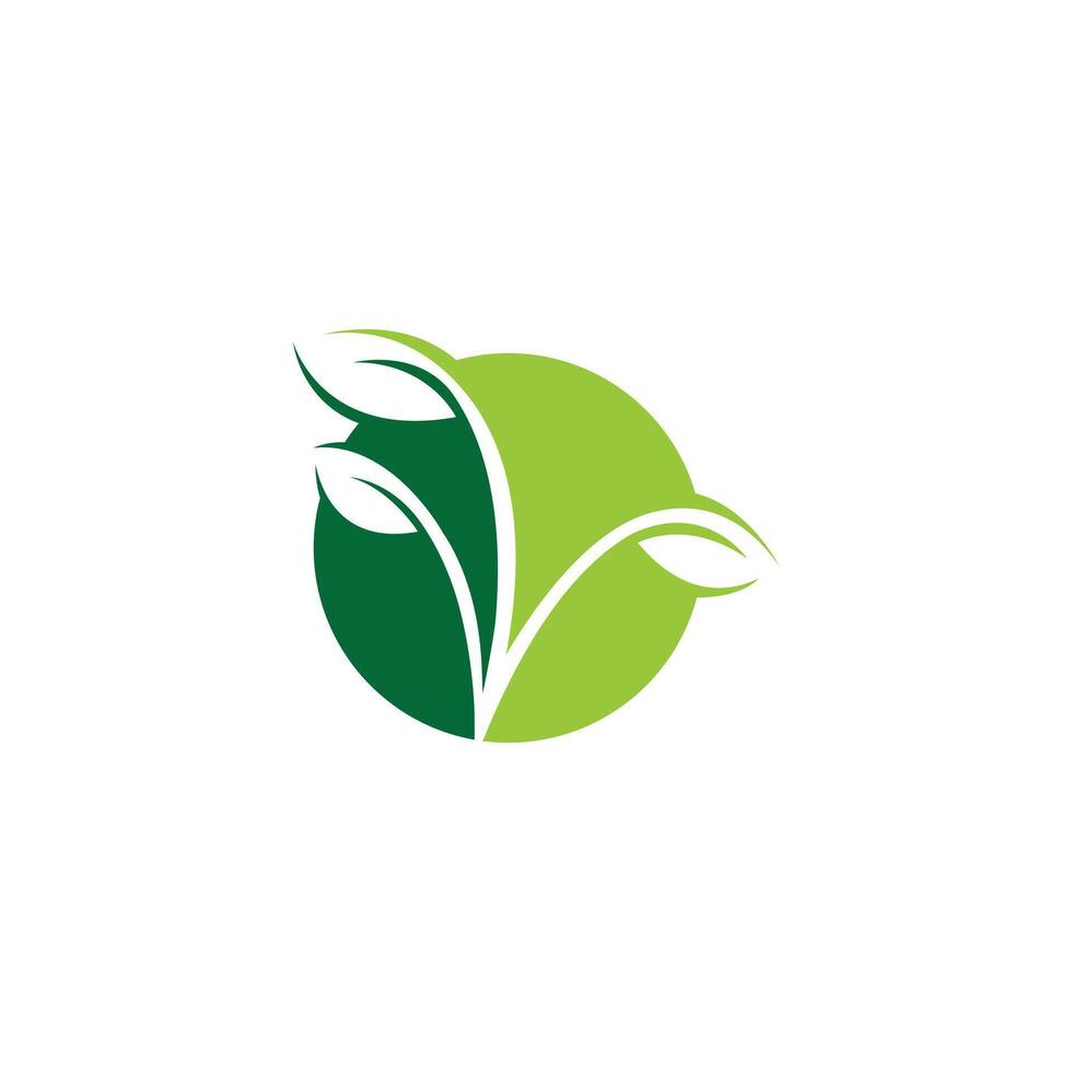 Leaf green logo design vector