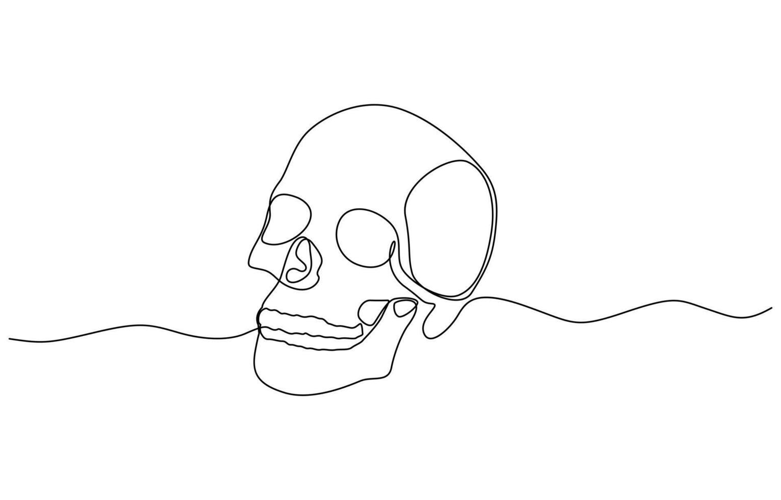 Continuous one line human anatomical skull, Minimalist cranium sketch doodle. One line art scull icon illustration vector