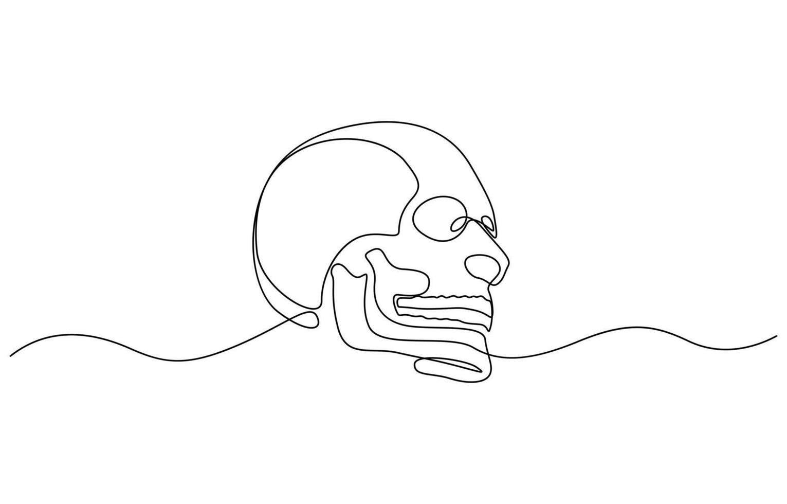 Continuous one line human anatomical skull, Minimalist cranium sketch doodle. One line art scull icon or logo illustration vector