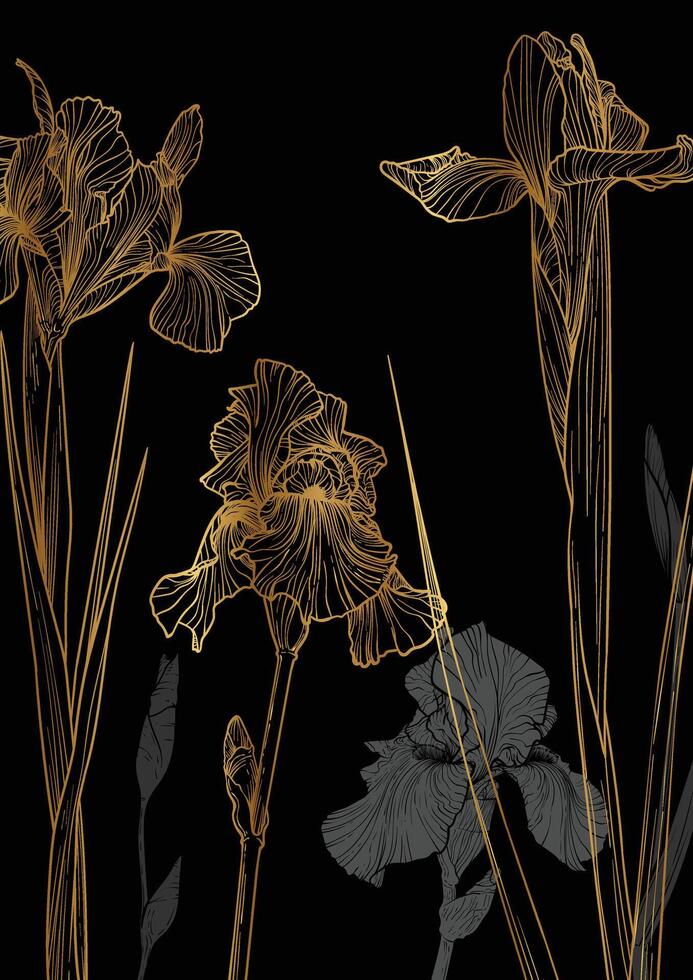 A3 iris line art hand drawn illustration. Art print with line art gold iris flower with gray tones. Highly detailed and high quality graphic asset for online and print. vector