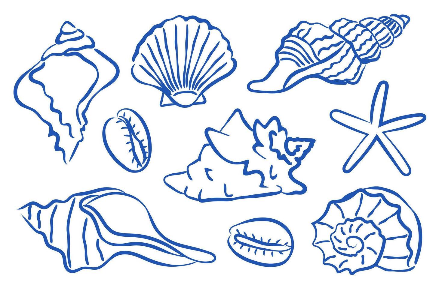 A Beautiful Collection of HandDrawn Illustrations Featuring Seashells and Starfish vector