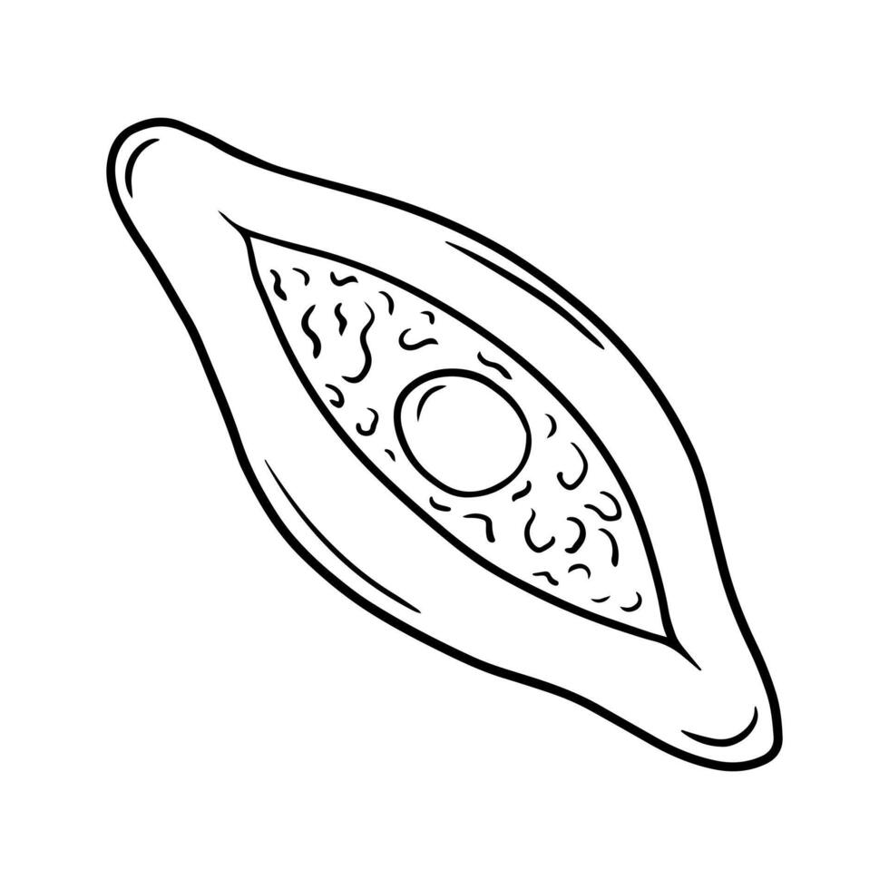 Traditional Adjarian and Georgian Khachapuri doodle sketch vector