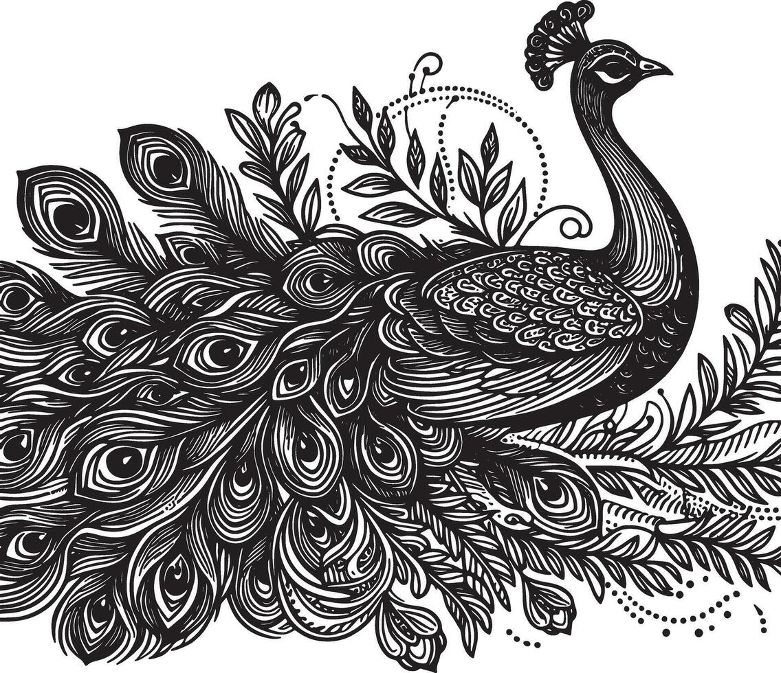 Peacock bird line art design black vector