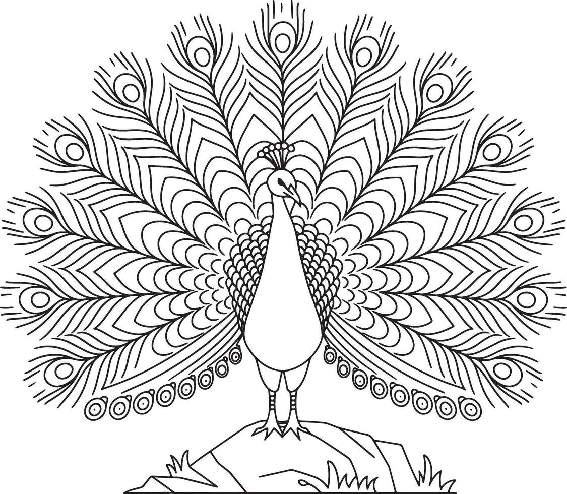 Peacock bird line art design vector