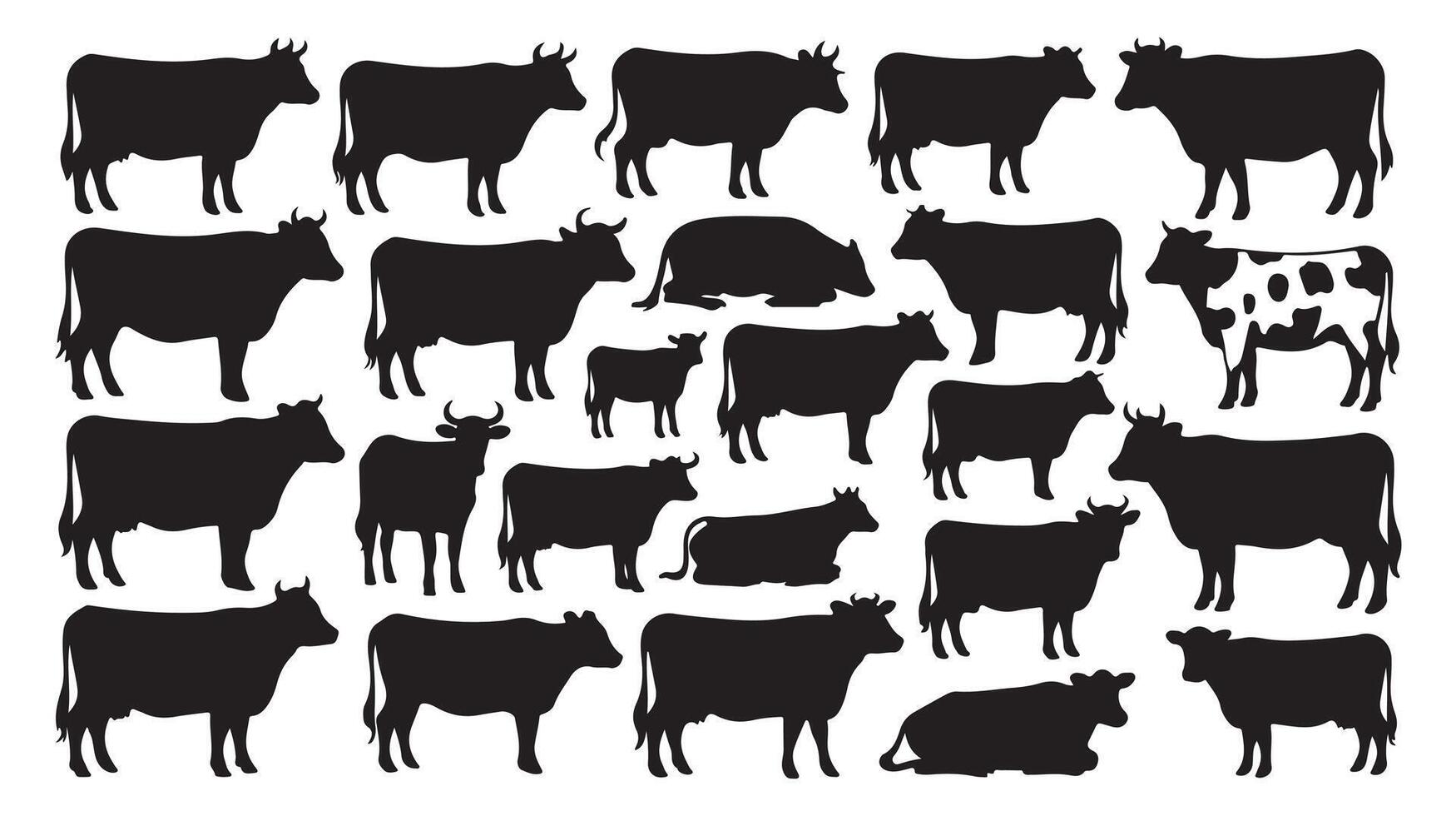 Collection of detailed black cow silhouettes isolated on a white background with various poses vector