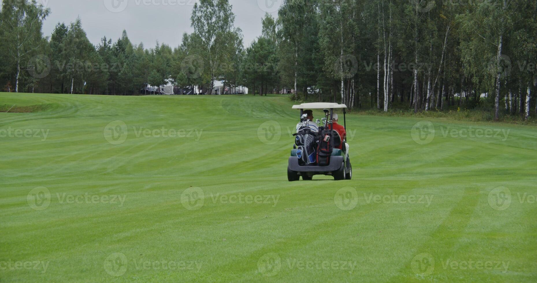 Two men of European appearance driving a golf car along the golf course, carrying bags of golf equipment and talking to each other on a rainy day, shot from behind, a view of the car receding photo