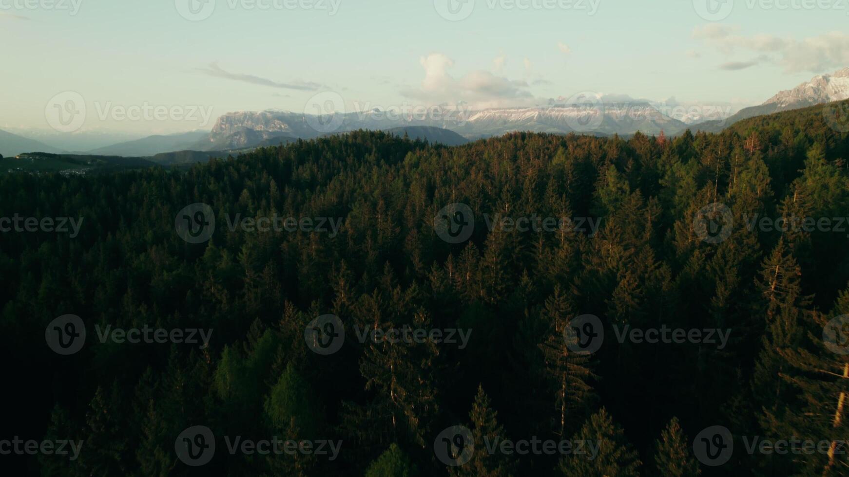 View tops of pine trees on the slopes of the mountains on a summer day. Bird's-eye view of the beautiful nature photo
