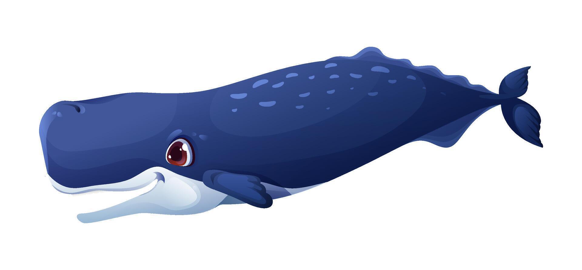 Cartoon whale character, sea underwater animal vector