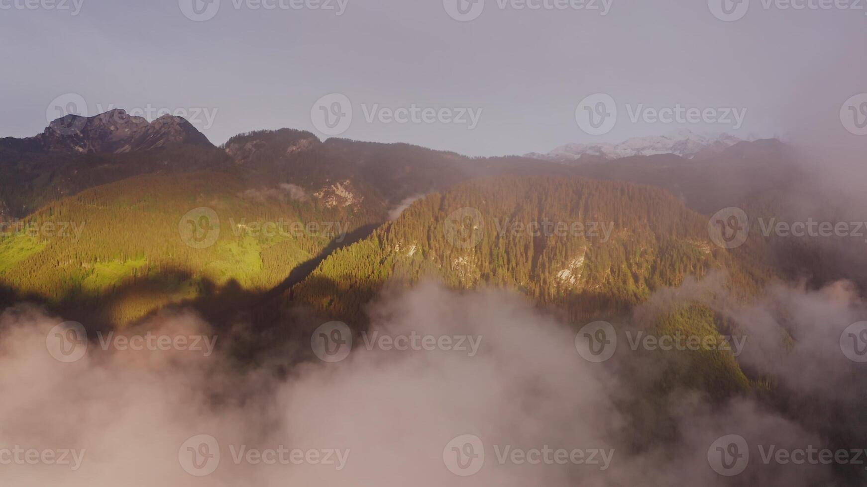 Gentle hills overgrown with spruce forest and illuminated by sunlight from a bird's eye view photo