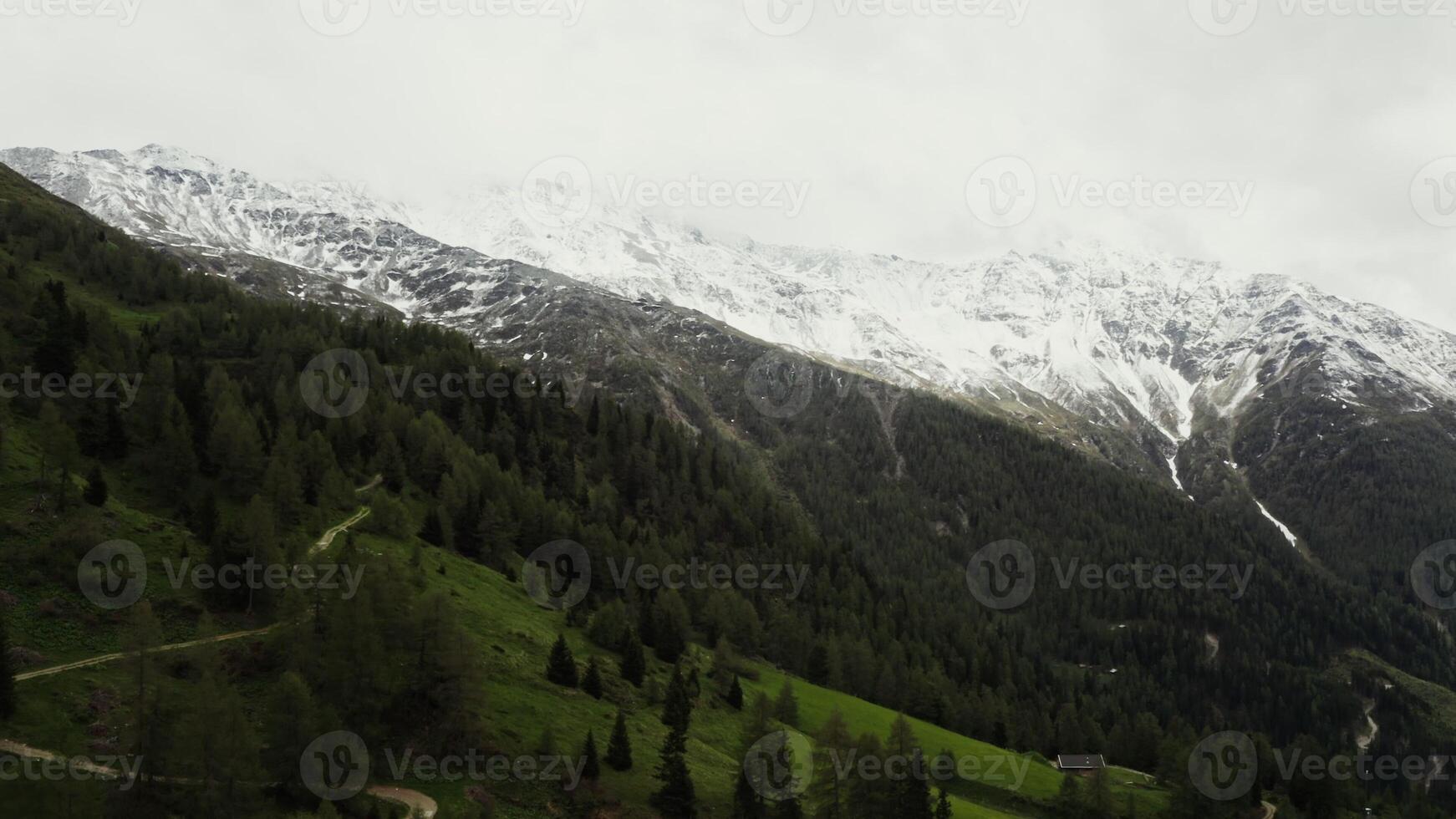 Alpine valley with gentle slopes overgrown with dense spruce forest and rocky peaks covered with snow. photo
