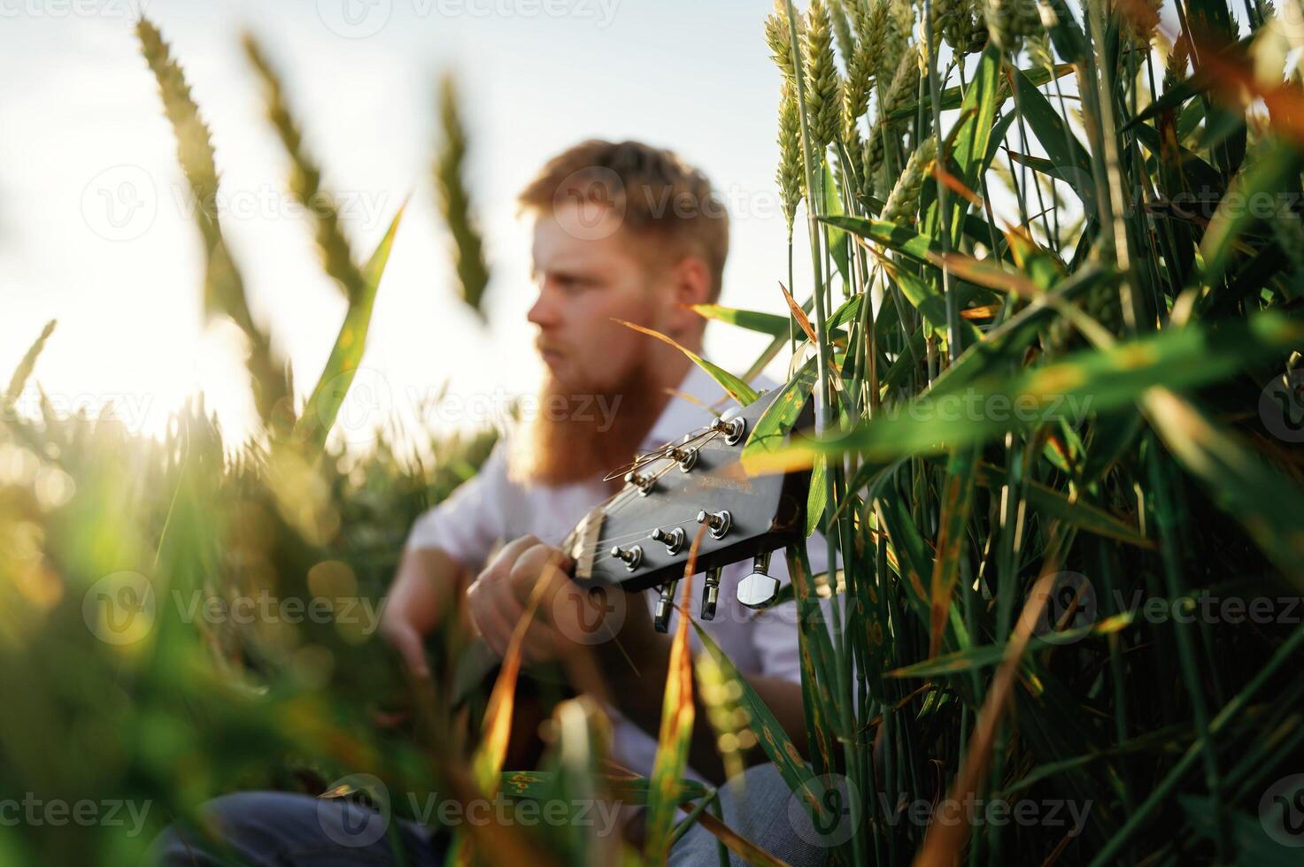 Country, musician is with guitar on the ground. Man in white shirt is on the agricultural field photo