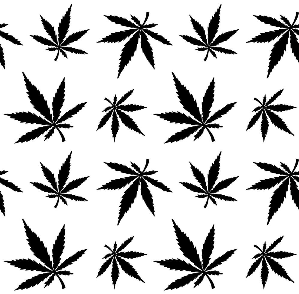 Seamless pattern of hand drawn doodle hemp cannabis isolated on white background vector