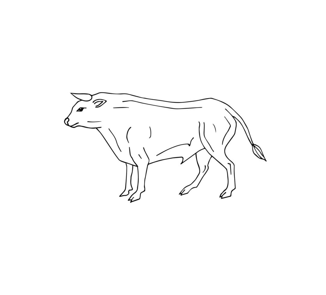 Hand drawn doodle sketch standing bull isolated on white background vector