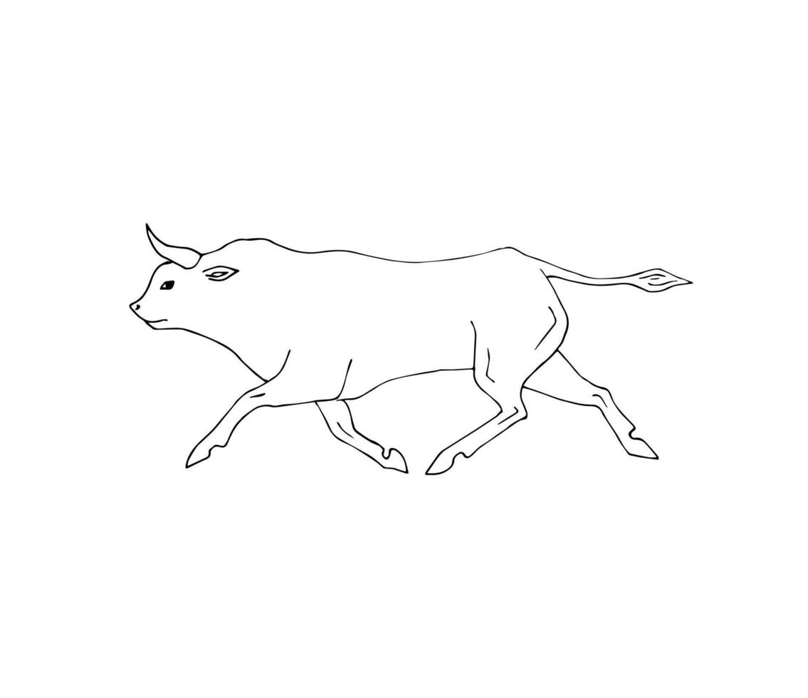 Hand drawn doodle sketch run bull isolated vector