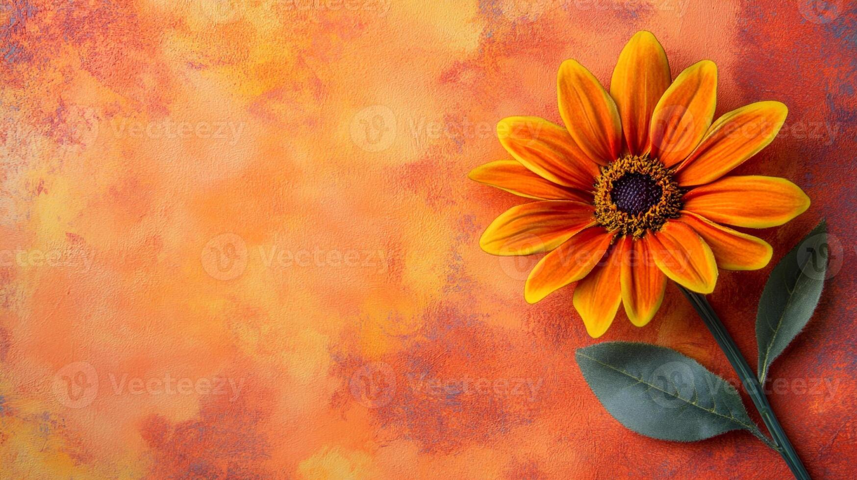 Top view Blanket Flower on a vibrant background, flower setting photo