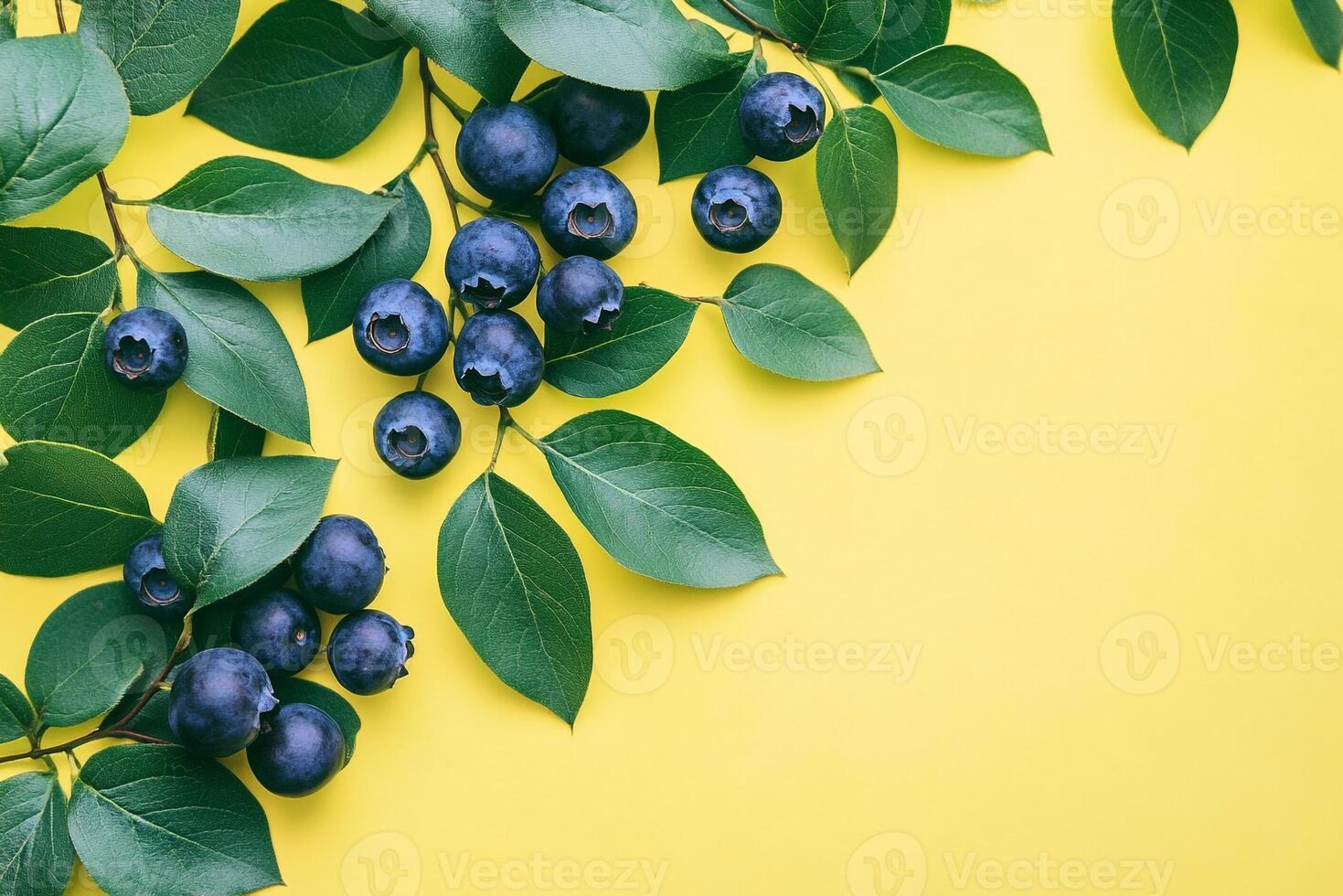 Blueberry Bush on a vibrant background, photorealistic top view Blueberry Bush plant photo