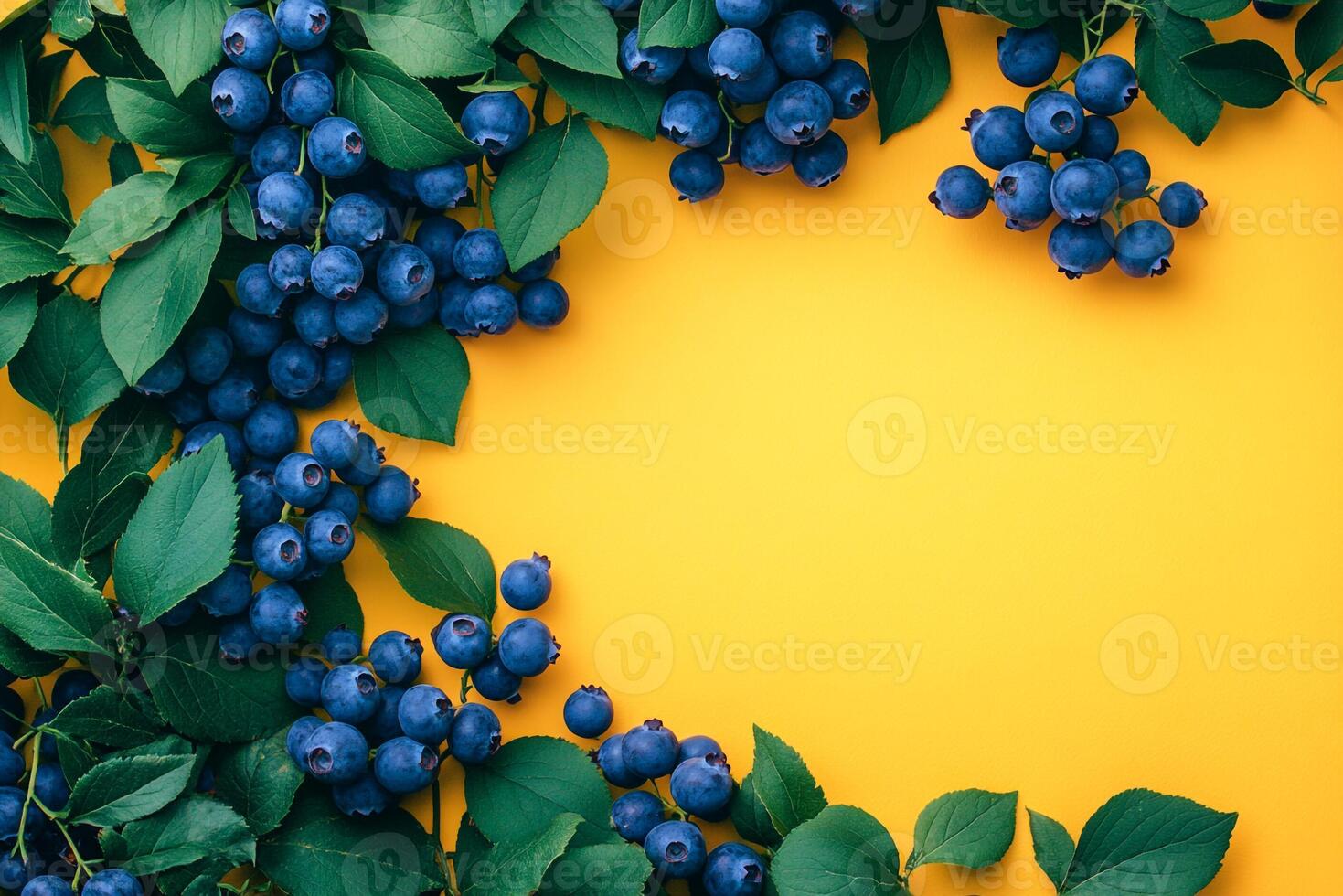 Blueberry Bush on a vibrant background, top view photorealistic plant photo