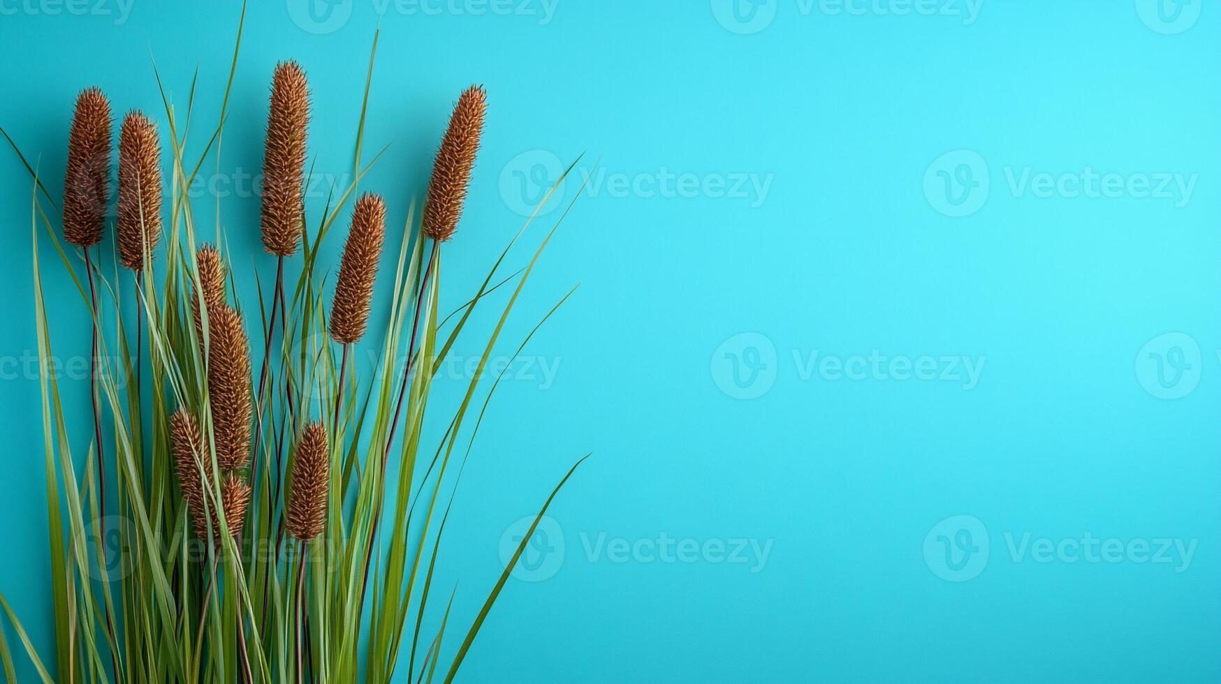Top view photorealistic Cattail, plant set on a vibrant background photo