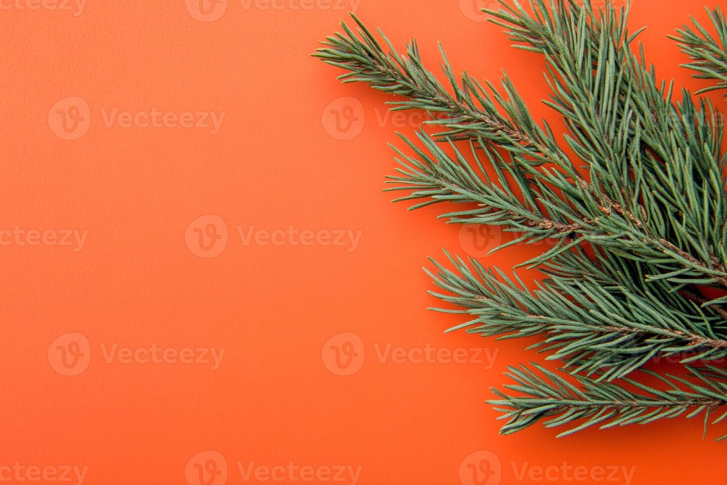 Cedar on a vibrant background, top view photorealistic plant photo