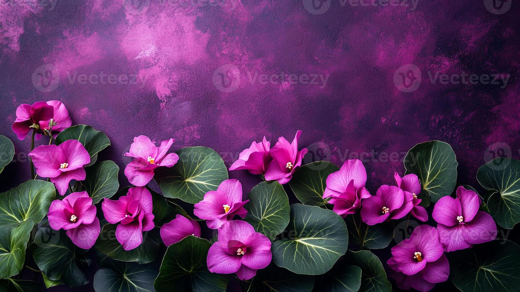 Top view photorealistic Cyclamen, flower set on a vibrant background photo