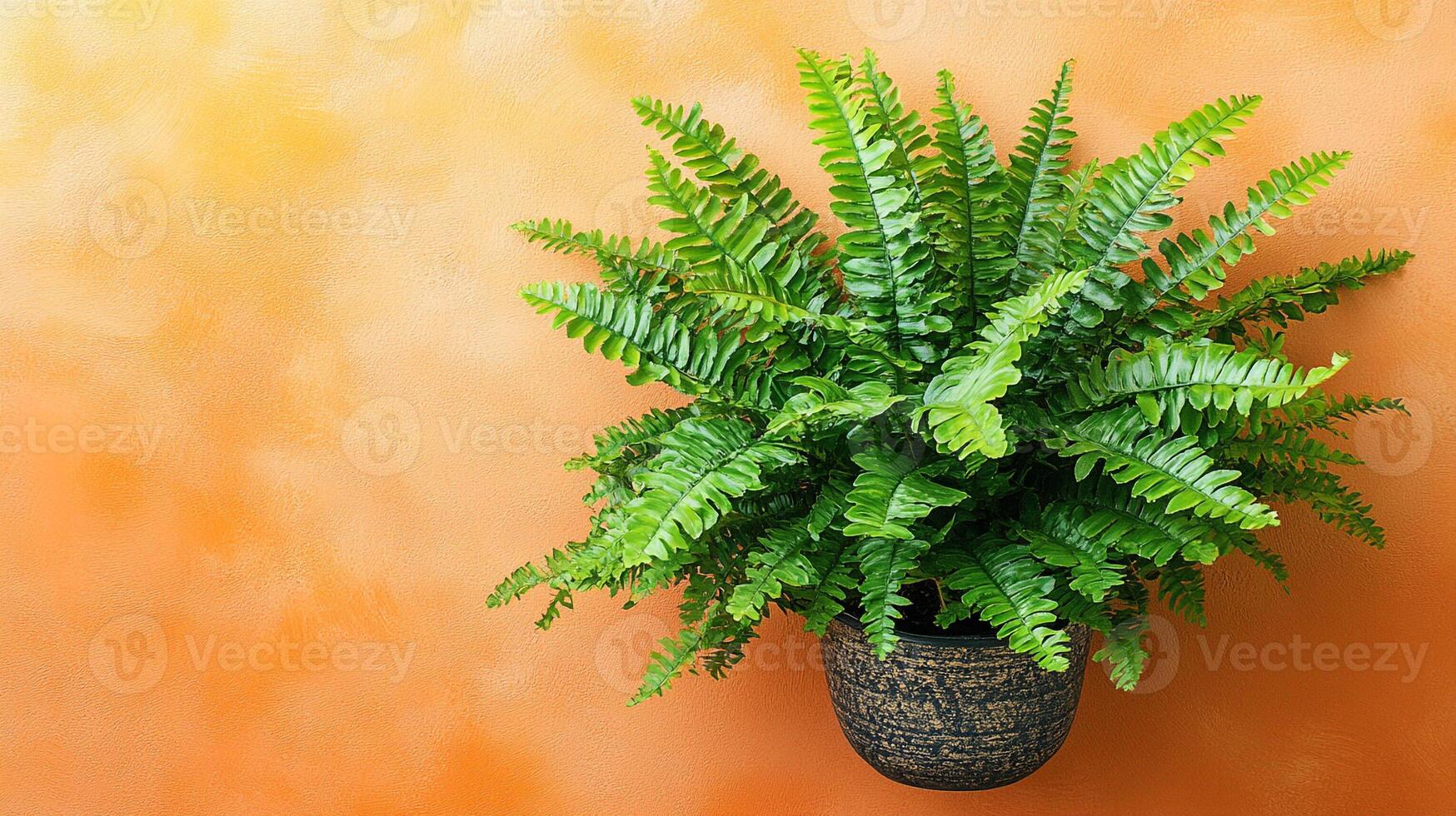 Dicksonia on a vibrant background, top view photorealistic plant photo