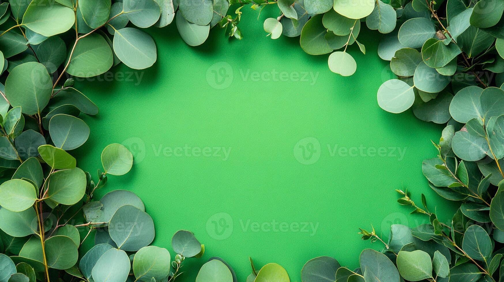 Eucalyptus on a vibrant background, photorealistic top view Eucalyptus plant photo