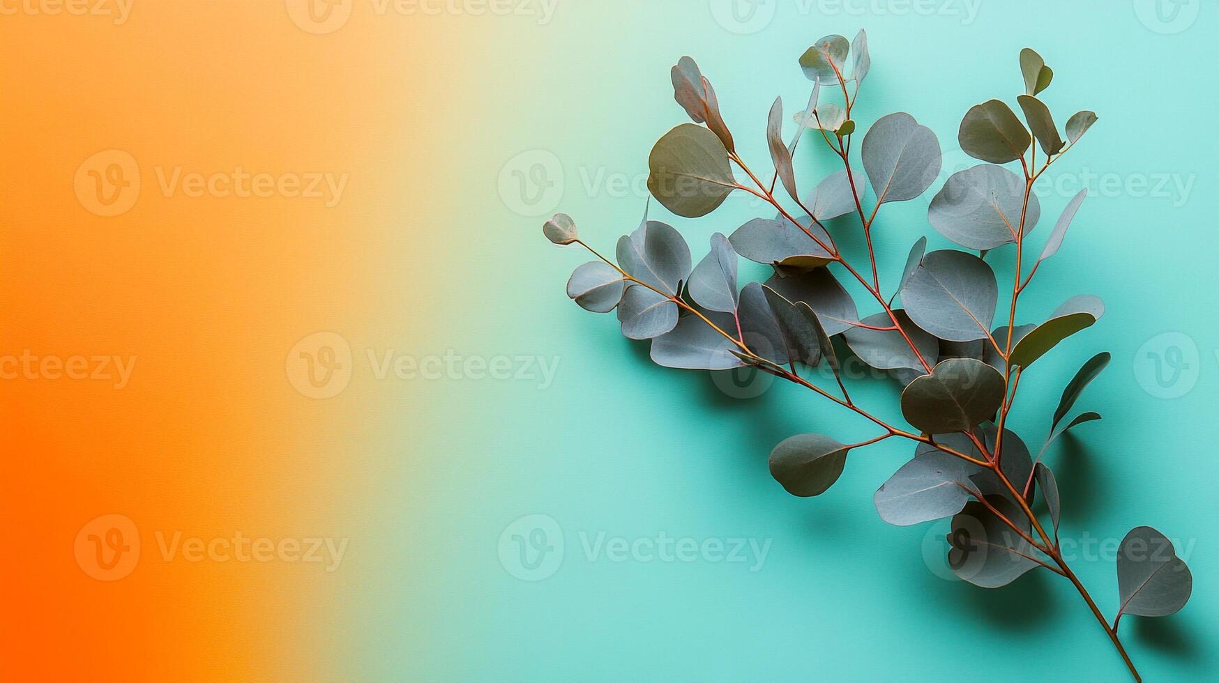 Top view photorealistic Eucalyptus, plant set on a vibrant background photo