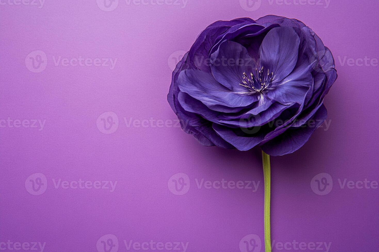 Top view photorealistic Eustoma, flower set on a vibrant background photo
