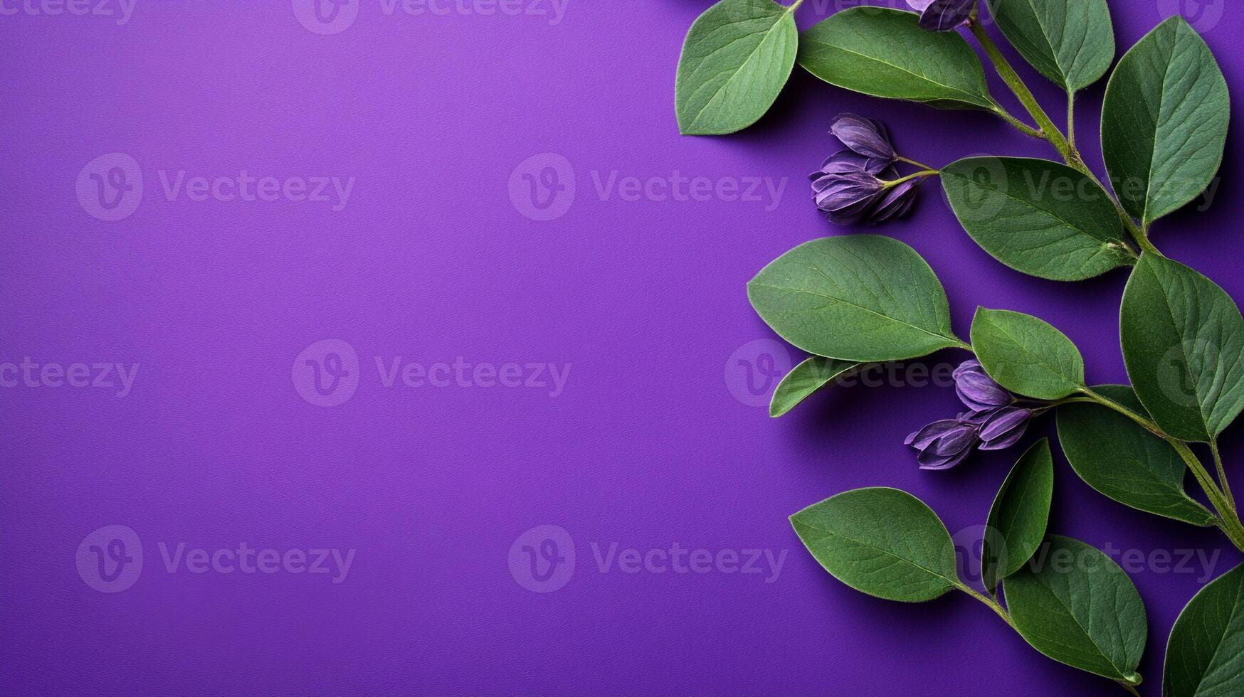 False Indigo on a vibrant background, top view photorealistic flower photo