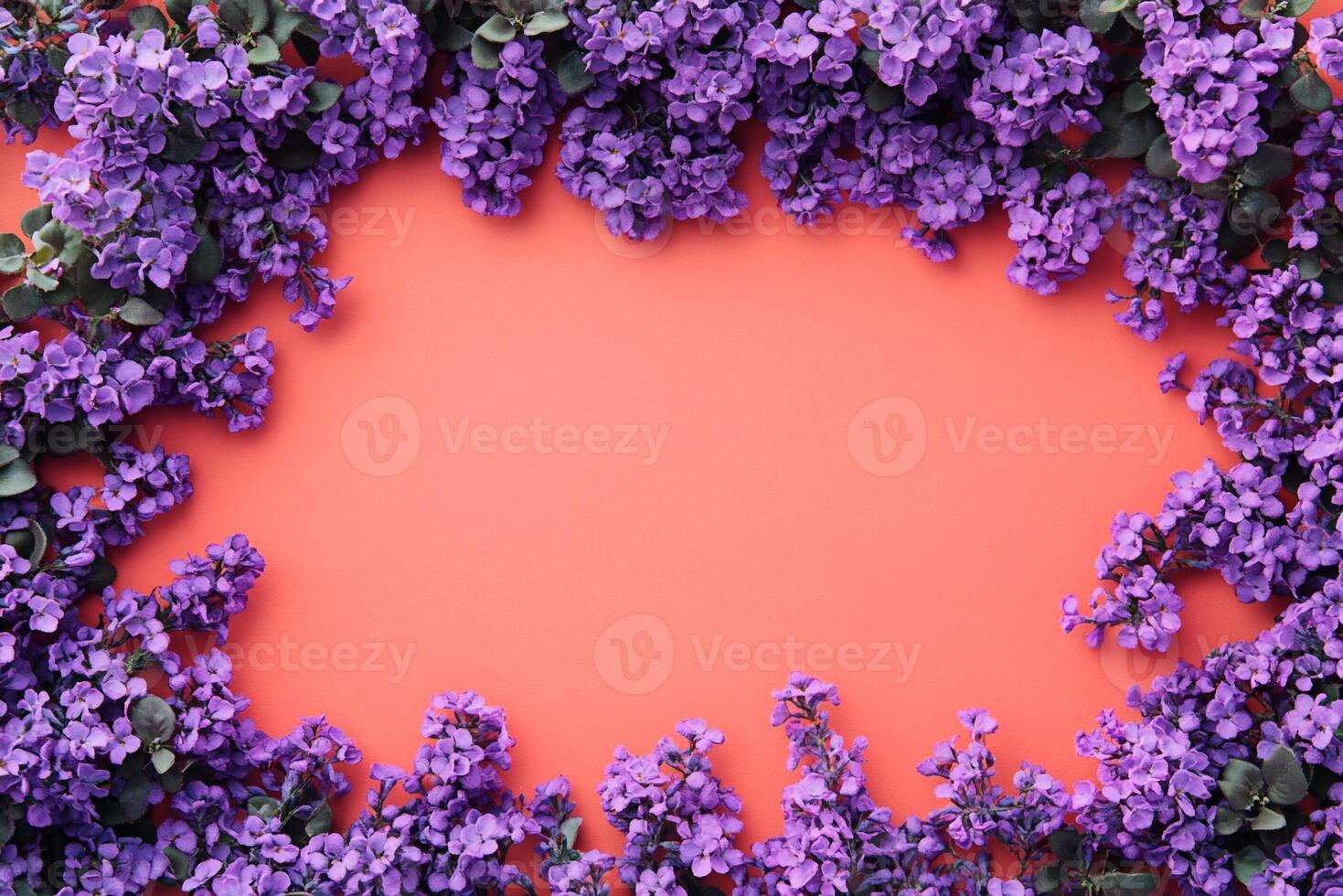 Top view Heliotrope on a vibrant background, flower setting photo