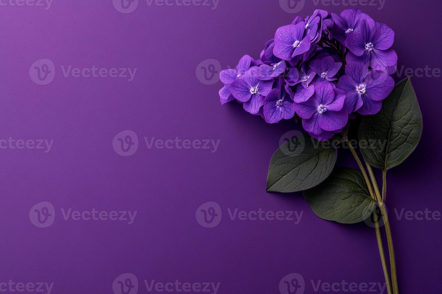 Top view photorealistic Heliotrope, flower set on a vibrant background photo