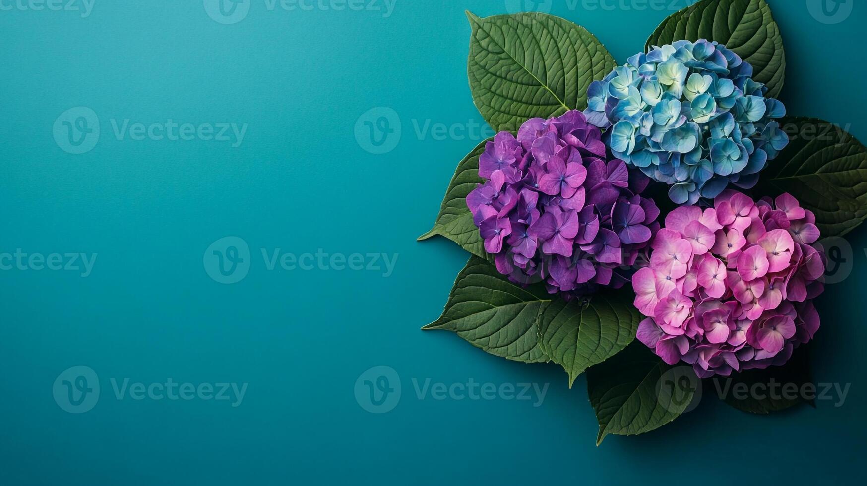 Hydrangea on a vibrant background, top view photorealistic plant photo