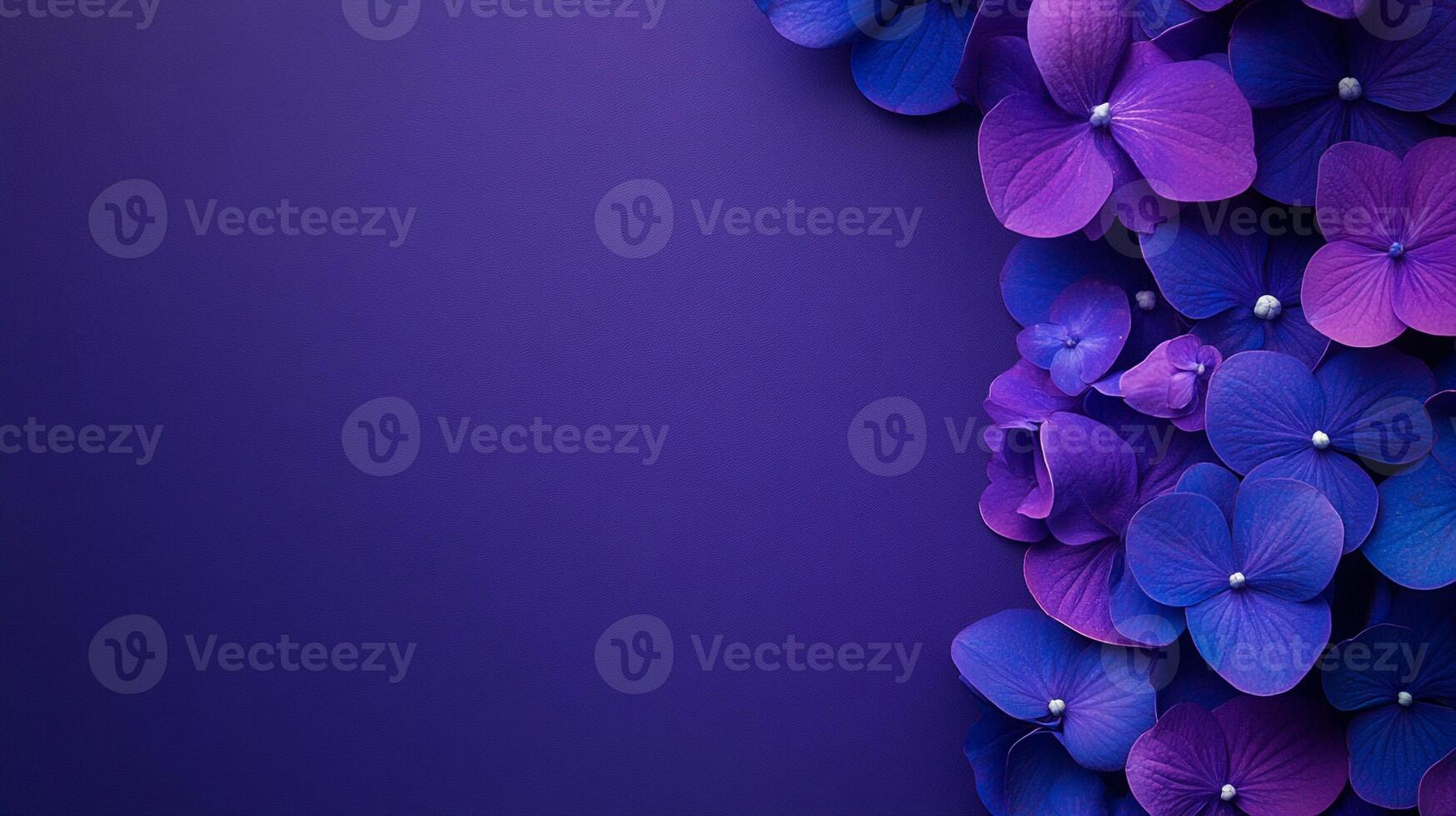 Hydrangea on a vibrant background, photorealistic top view Hydrangea flower photo