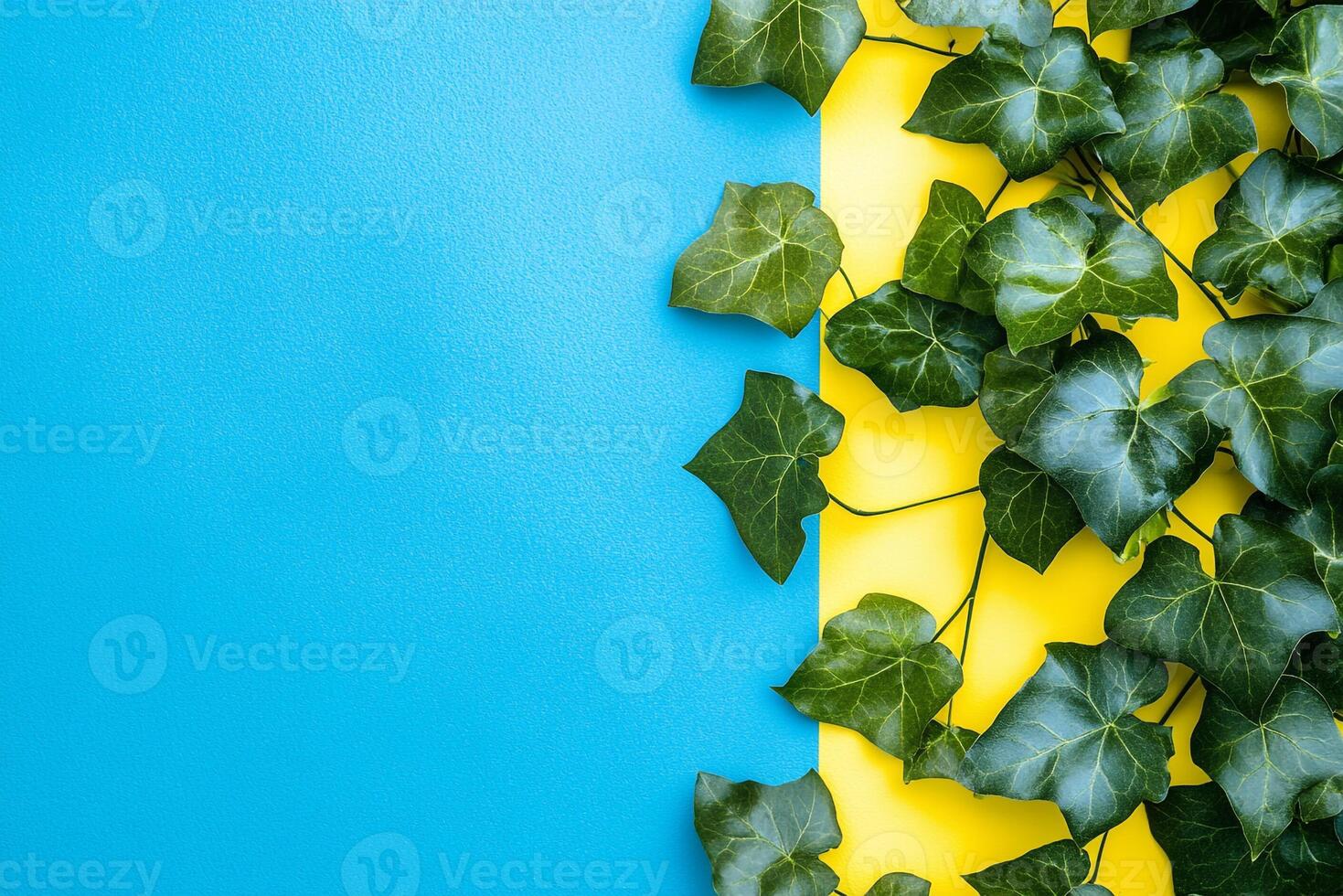 Top view Ivy on a vibrant background, plant setting photo